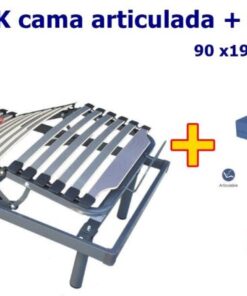 Cama Eléctrica Sevilla y Colchón Sanitario