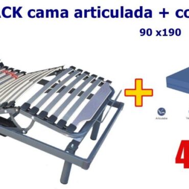 Cama Eléctrica Sevilla y Colchón Sanitario